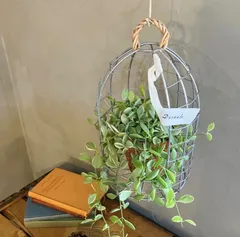 すみれ色のたね様　専用ページ