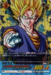 【中古】DBZデータカードダス PE-012-II[爆レア]：ベジット