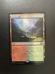 MTG UGL アングルード 森/Forest 英語 7枚 - メルカリ