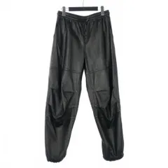 2026年最新】Alexander Wang ワークパンツ・カーゴパンツ・ペインター