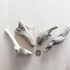 流木 約9.5cm～約13.7cm 210721