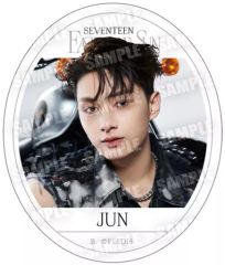 [중고] 식완 스티커 씰 4. [SVT GUMMI From PLEDIS ENTERTAINMENT SEVENTEEN]