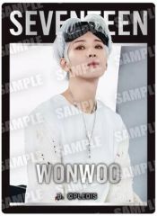 [중고] 식완 스티커 씰 19. [SVT GUMMI From PLEDIS ENTERTAINMENT SEVENTEEN]
