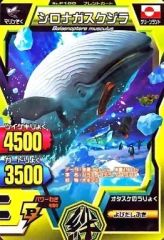 シロナガスクジラ（グレートアニマルカイザー） - メルカリ