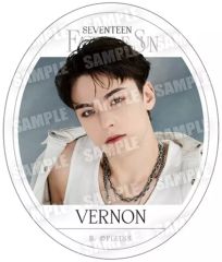 [중고] 식완 스티커·씰 12. [SVT GUMMI From PLEDIS ENTERTAINMENT SEVENTEEN]