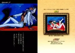 2026年最新】少女革命ウテナ カードダスの人気アイテム - メルカリ