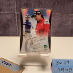 Item thumbnail for item 6e2cbd6d-2f41-4047-a0d0-42e064b88974