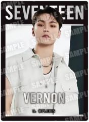 [중고] 식완 스티커·씰 25. [SVT GUMMI From PLEDIS ENTERTAINMENT SEVENTEEN]