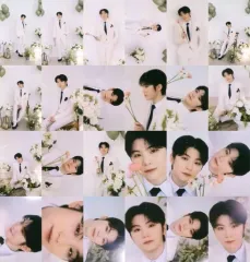 【中古】キャラカード [単品] ウジ (SEVENTEEN) ブックレット(トレーディングカード24枚セット) 「CD FML (CARAT Ver.)」 封入特典