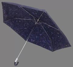 Item thumbnail for item 88bc4920-94cb-41ba-a8d3-752c6e441dee