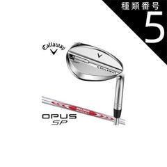 キャロウェイ APEXアイアン2019 5〜P neoSR ウエッジ50,56 - メルカリ