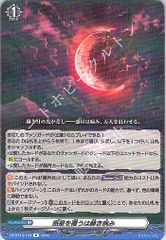 管理番号1】カードファイト‼︎ヴァンガード,シングルカード,DZシリーズ