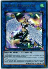 遊戯王 英語版 トゥーンハーピィレディ コレクターズレア TOCH-EN002