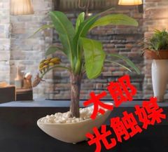 光触媒 人工観葉植物 ウォールグリーン フェイクグリーン エレガンス