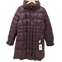 エディーバウアー Eddie Bauer ダウンコート メンズ import：M 