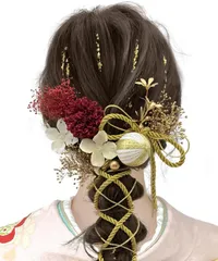 【在庫処分】振袖 和装 着物 ドライフラワー 袴 9色展開 浴衣用 成人式 卒業式 髪飾り かすみ草 [JZOON] A1800