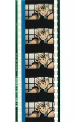 [중고] 프레임 필름 17. 제2화 C68 텔레비전 애니메이션 [유곽편] 명장면·35mm 필름 프레임 [월드 투어 상영 귀멸의 칼날 상현 집결, 그리고 검 대장장이의 마을에] 제2탄 입장자 특전