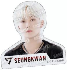 [중고] 식완 스티커 씰 11. [SVT GUMMI2 From PLEDIS ENTERTAINMENT SEVENTEEN]
