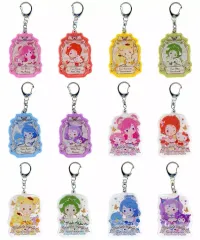 【中古】キーホルダー 全12種セット 「アクリルキーホルダーコレクション Yes!プリキュア5GoGo!×サンリオキャラクターズ」