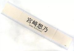 Item thumbnail for item 81dadc17-00ba-49b9-a56e-1ec41ddc6a0d