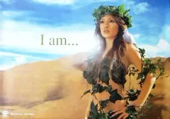 2026年最新】浜崎あゆみポスターの人気アイテム - メルカリ