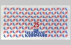 2026年最新】エレファントカシマシ デビュー25周年記念 SPECIAL LIVE