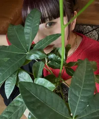 ROSEBUD ニット/セーター F レッド