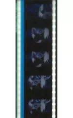 【中古】コマフィルム 73.第九話 C318 テレビアニメ「遊郭編」名場面・35mmフィルムコマ 「ワールドツアー上映 鬼滅の刃 上弦集結、そして刀鍛冶の里へ」 第2弾入場者特典