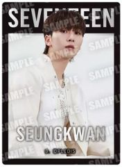 [중고] 식완 스티커 씰 24. [SVT GUMMI From PLEDIS ENTERTAINMENT SEVENTEEN]