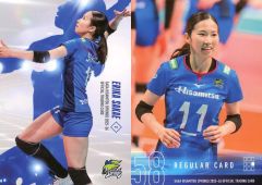 Item thumbnail for item 78cf665f-010e-472b-b231-546156b372e9