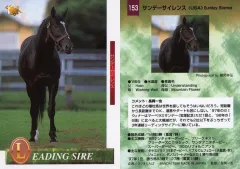 2026年最新】サンデーサイレンスの人気アイテム - メルカリ