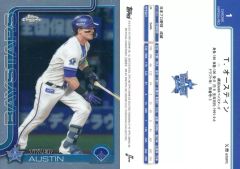 Item thumbnail for item 5a8d651f-c772-4d45-ba1d-51a74ea5f0a4