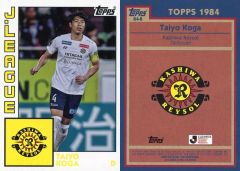 Item thumbnail for item 463ad10a-ba1f-408d-bd8c-064801cd5eaa