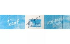 Item thumbnail for item 9e5fae11-1680-4eda-b74b-63eb29cc1b27