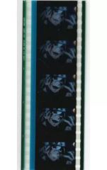 [중고] 프레임 필름 57. 제8화 C148 텔레비전 애니메이션 [유곽편] 명장면·35mm 필름 프레임 [월드 투어 상영 귀멸의 칼날 상현 집결, 그리고 검 대장장이의 마을에] 제2탄 입장자 특전