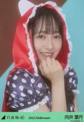 2026年最新】向井葉月 生写真の人気アイテム - メルカリ