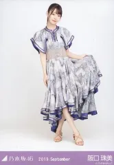 【中古】生写真(乃木坂46) 阪口珠美/全身・真夏の全国ツアー2019衣装1/「乃木坂46 2019.September」WebShop 限定ランダム生写真