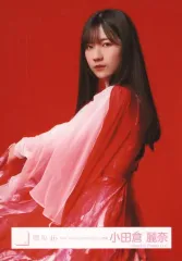 【中古】生写真(乃木坂46) 小田倉麗奈/上半身/櫻坂46ランダム生写真【「3rd Single BACKS LIVE!!」衣装】