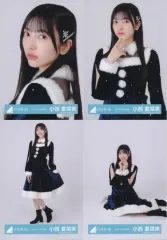 【中古】生写真(乃木坂46) ◇小西夏菜実/日向坂46ランダム生写真【ネイビーサンタ衣装】 4種コンプリートセット