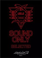 中古】アニメDVD 幻影ヲ駆ケル太陽 1[完全生産限定版] - メルカリ