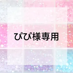 ぴぴ様専用ページ