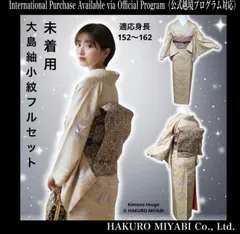 フ6-2正絹　大島紬　小紋　フルセット　未着用　しつけ