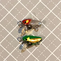 2026年最新】夜光貝 ルアーの人気アイテム - メルカリ