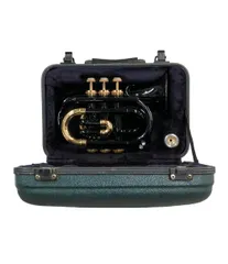 2026年最新】ポケットトランペットの人気アイテム - メルカリ