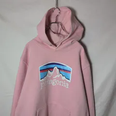 【patagonia/パタゴニア】プルオーバー スウェット パーカー f377 huyu