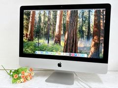 [Good product 21.5 inch] Apple iMac (Retina 4K, 21.5-inch, 2019) A2116 "Core i3 (8100) 3.6 GHz/RAM: 16 GB/HDD: 1 TB" Pro 555X Sequoia working item