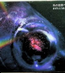 氣志團万博2006 極東NEVER LAND~麗舞!麗舞!麗舞!~ [DVD2枚組] - メルカリ