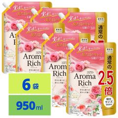 新品、未使用品】ソフランアロマリッチ キャサリン 1520ml 6袋入り ソフランアロマリッチ キャサリン 1520ml 6袋入り
