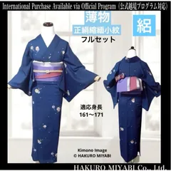 正絹　薄物　夏着物　絽　小紋　フルセット　４点　フ7-2