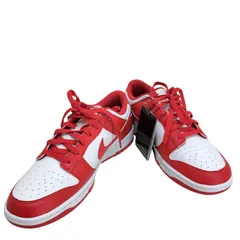 ナイキ NIKE DUNK LOW RETRO  メンズ  28cm